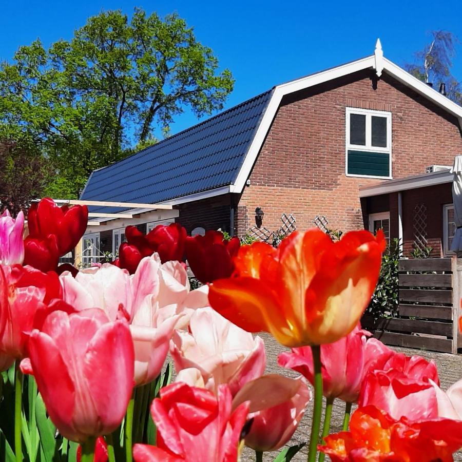 B&B De Hoffstal ซาสเซนไฮม์ ภายนอก รูปภาพ